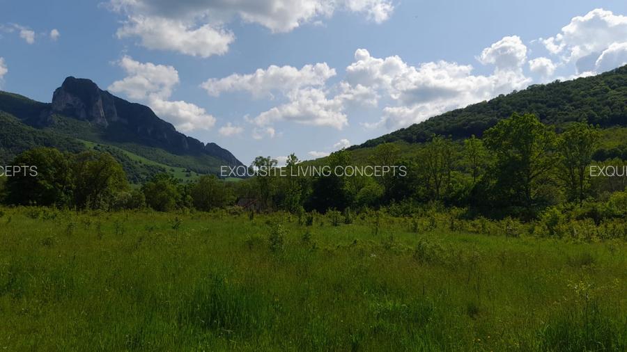 Teren intravilan, in Rimetea, parcela 1000 mp, 27 euro/mp - 2