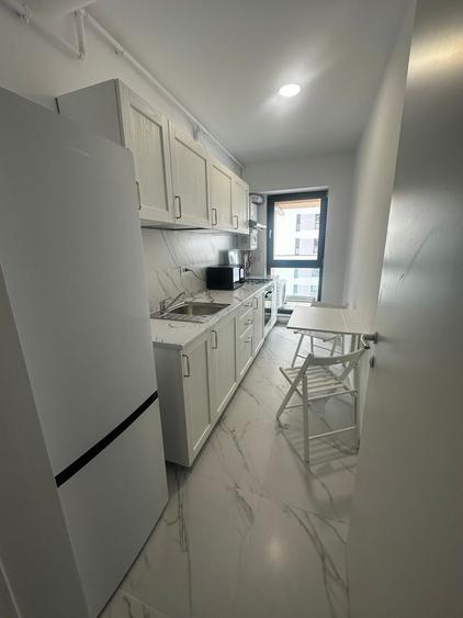 STUDIO PARCUL CAROL, PRIMA INCHIRIERE, PET-FRIENDLY, METROU 10 MINUTE
