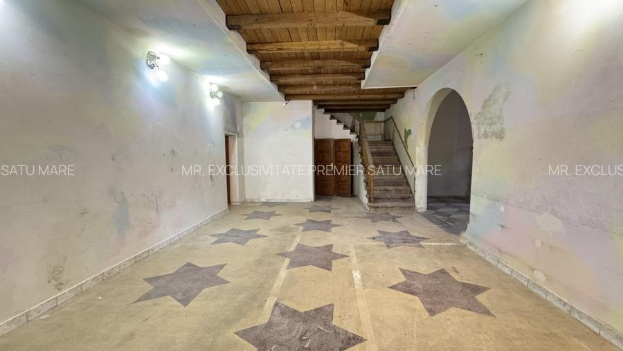 Spații de Inchiriat - Proprietate cu funcțiuni mixte – Str. Căplenilor Carei - 26