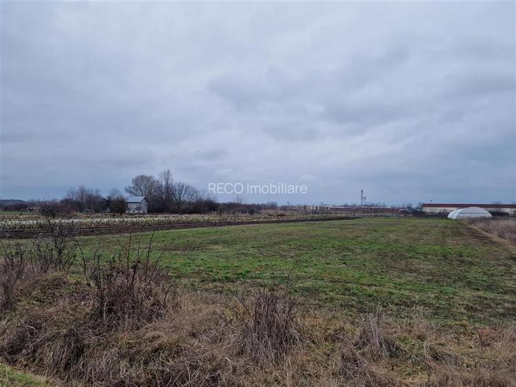 RECO Teren intravilan in Bors cu front mare - 4