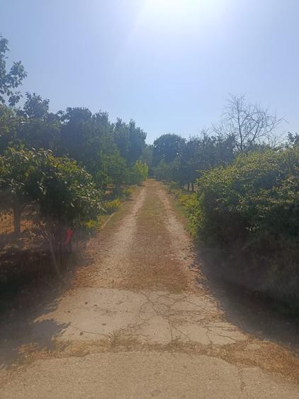 TEREN DE VÂNZARE – CREVEDIA, 96000 MP – cu trei intrari din DN1A