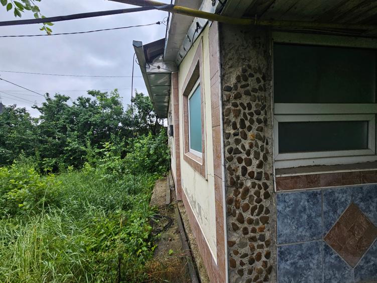 Casa Vladiceni -