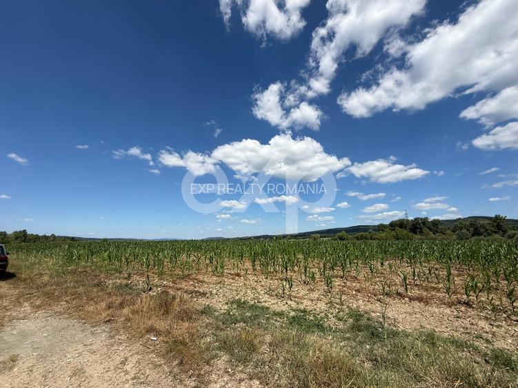 Teren 14.000 mp în Budeasa cu vedere superbă către baraj - 4