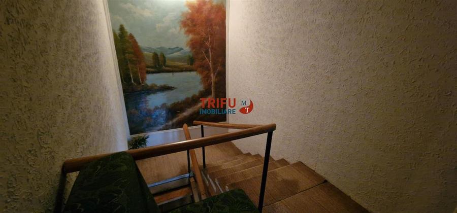 Casa 5 camere 743 mp teren Sebes