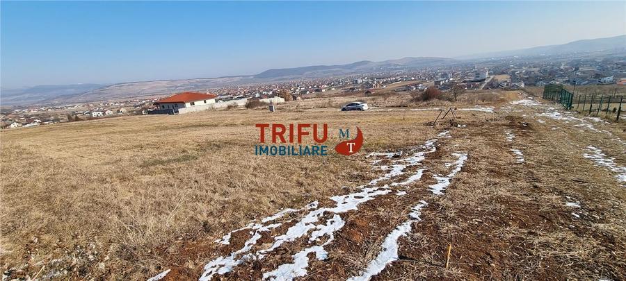 Teren 528 mp de vanzare Alba Micesti spre padure