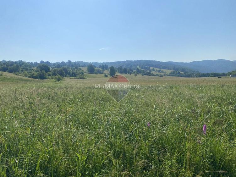 Teren 4,306mp Vama Buzaului langa Cascada Urlatoarea - 8