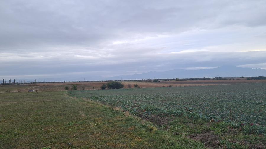 Oază de Natură și Potențial: Teren de 48.100 mp lângă Delta din Carpați