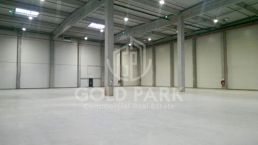 Depozit/Hala-In Park Industrial- Zona Someseni-2900 mp