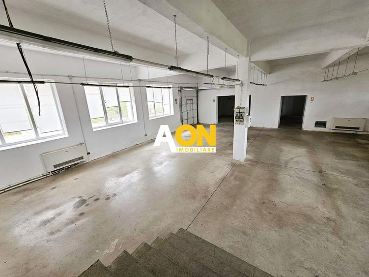 Spatiu industrial pentru productie sau depozitare, 1600 mp, Sebes