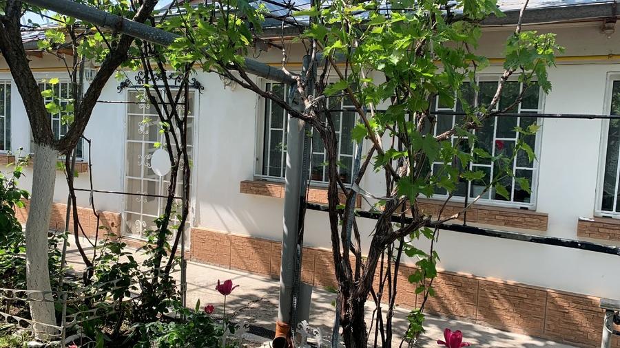 Casa Brailita cu teren 405mp