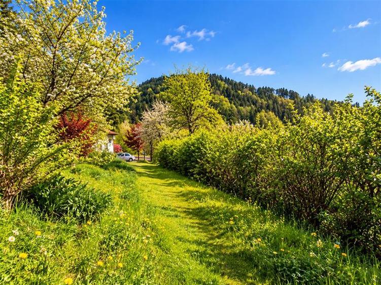 Resedinta distinctiva, pe domeniu de 2.200mp, cadru exclusivist, Central, Brasov
