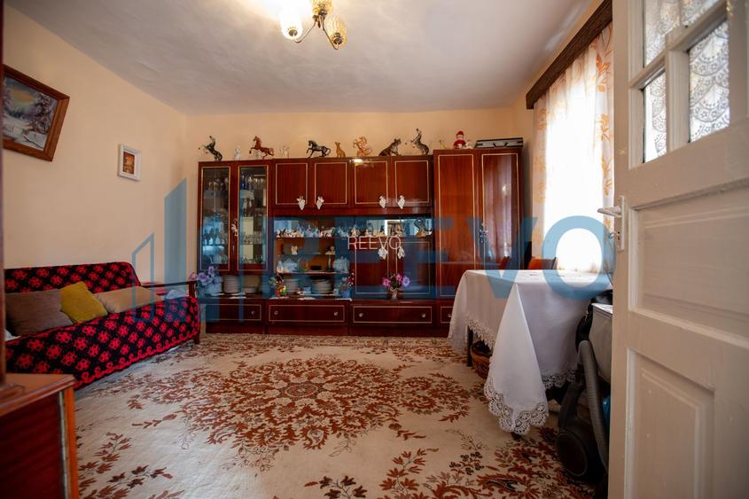 Casa si teren 3365mp Sascut - 13