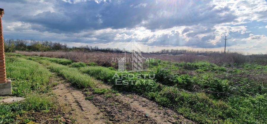Teren intravilan , curent , apa , nr de casa Sacosu Turcesc - 2