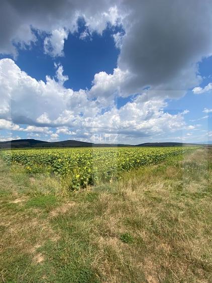 De vânzare teren arabil – 4,58 ha, Moacșa, Covasna - 3