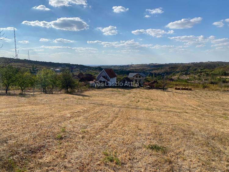 Teren intravilan de vânzare – 6.937 m² | Strada Sofiei, Oradea  - 5