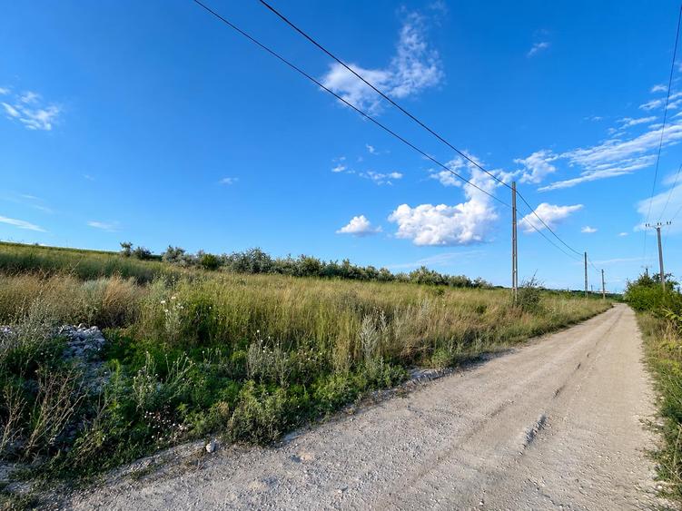 Teren pentru Hală 1000 mp zona Metro lângă Zeelandia, 20,30 m deschidere, Aproape E85, Ideal Investiție Industrială