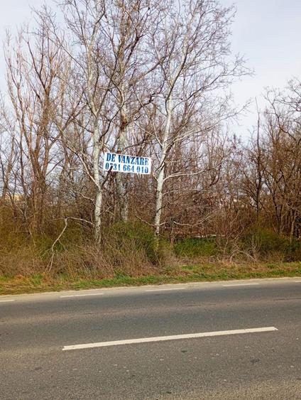 Teren intravilan 5.000 m² cu 40 m deschidere la DN2A – lângă Kaufland Slobozia