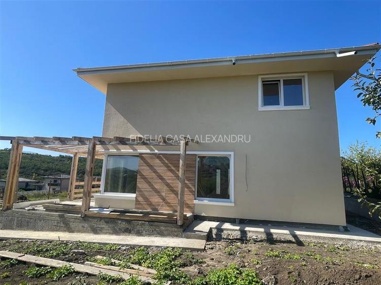 Vila individuala cu 4 camere si 2 bai, de vanzare in Valea Adanca - 5