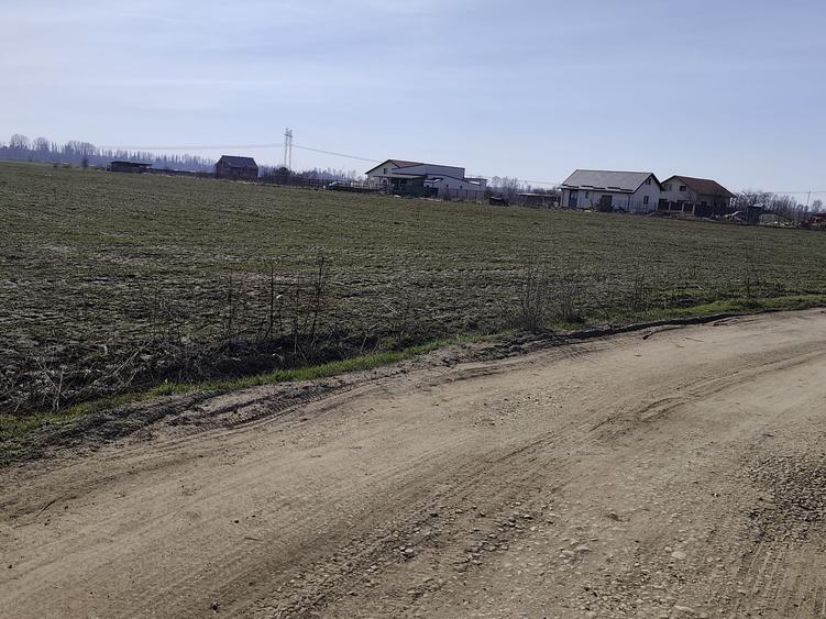 FARA COMISIOANE in Sabareni teren in suprafata de 23200mp gaze curent la teren