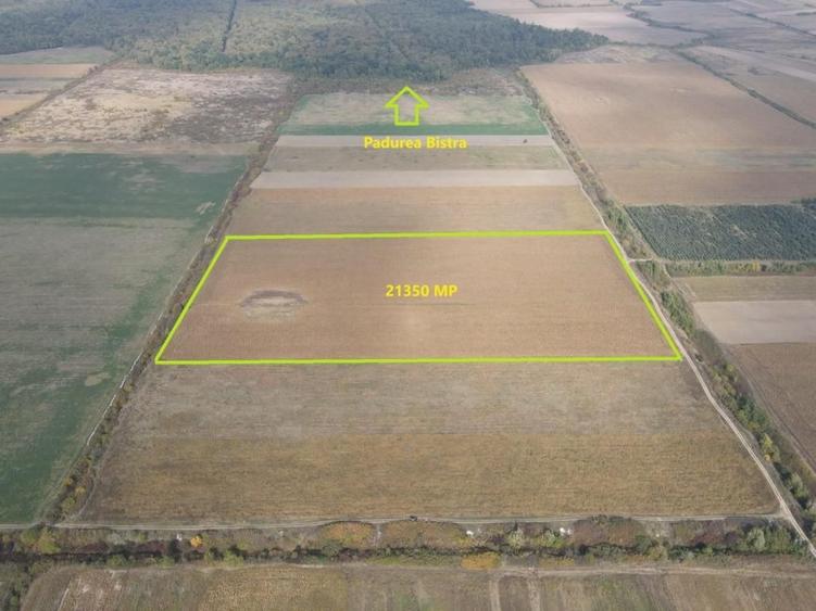 Teren 2,1 hectare în apropierea Pădurii Bistra