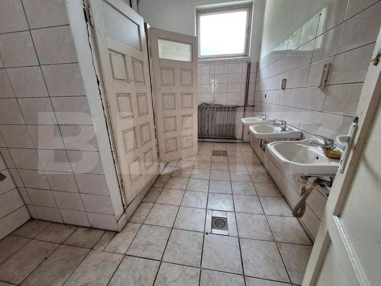 Proprietate de cazare, spatii comerciale, Lugoj