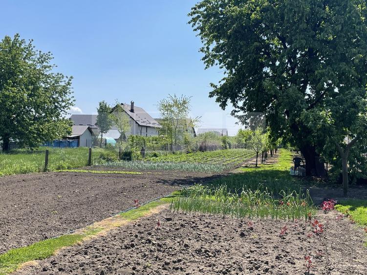 Casa veche stil nemtesc | Teren 23,5 ari | Radauti