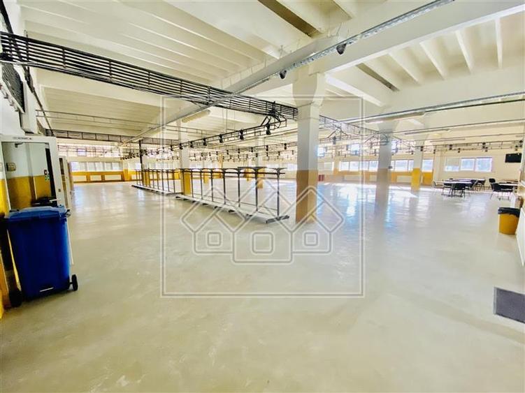 Spatiu industrial si de birouri in zona Terezian - finisaje moderne