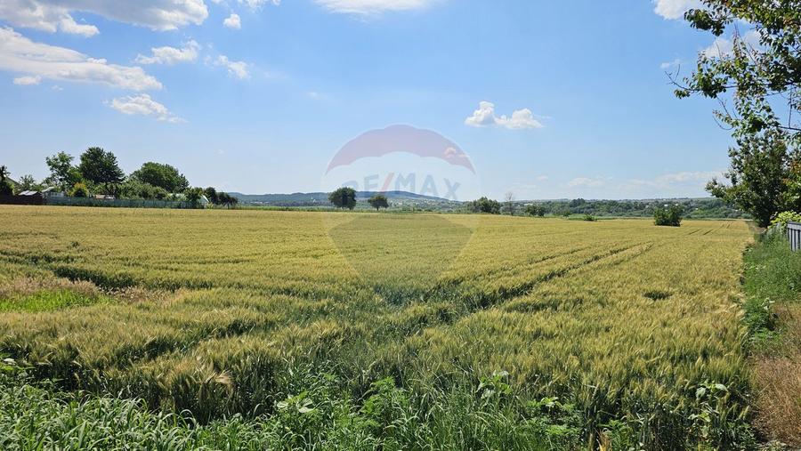 Teren 15,000mp Salcea-Prelipca, Suceava