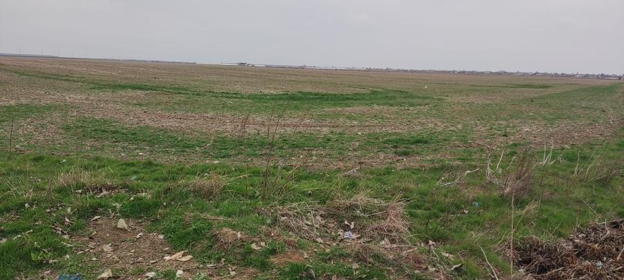 OCAZIE UNICA TEREN IEFTIN-PUZ INDUSTRIAL CERNICA, PALLADY
