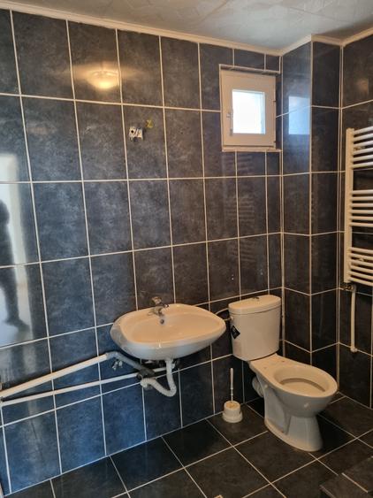 Proprietate generoasa- Casa cu 4 dormitoare si o curte mare