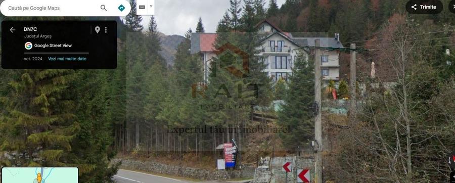 Teren extravilan tip pădure de vânzare 500 mp Arefu Transfăgărășan