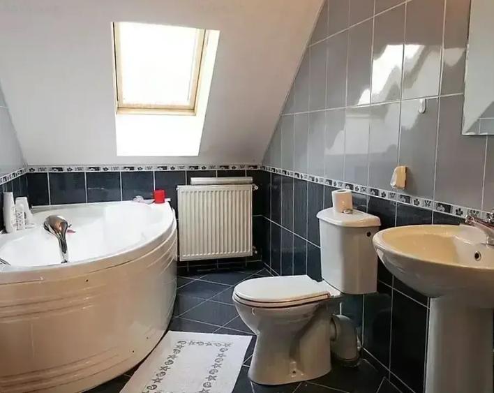 Vilă cu 5 camere, 170 mp, Mogoșoaia