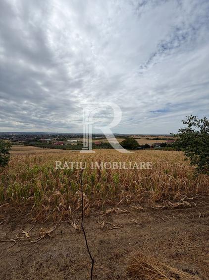 Teren intravilan 1.770 mp – Uileacu de Criș, Tileagd