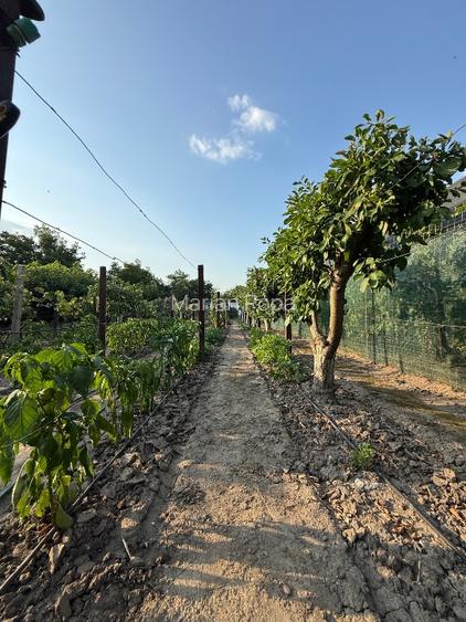 Casă 153 mp + teren 1.419 mp | Complet mobilată | Vânători, Vrancea - 14