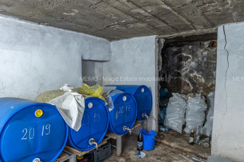 Remus Lăcătușu 58, Măgirești — pentru cei care au decis că vor curte - 14