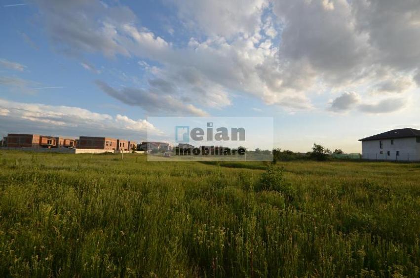 Voluntari - Matei Millo Teren 481 Mp Utili, Deschidere 20 Ml