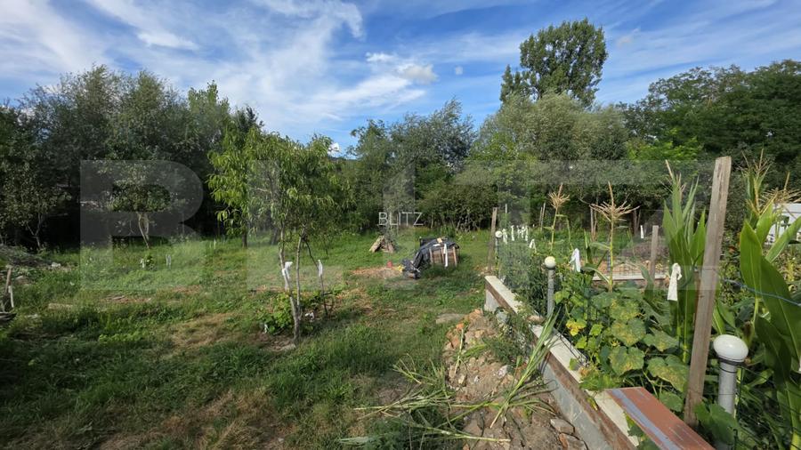 Casa de Vanzare in Teaca de 3 camere cu 11 arii teren - 11