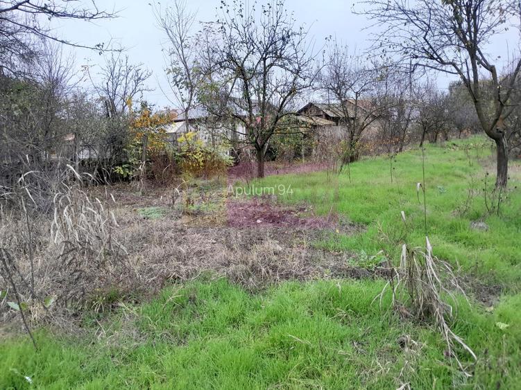 De vanzare casa +teren 16k mp in BARCANESTI / IL - 58