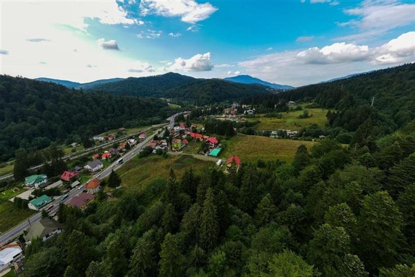 Arta si design in incantarea naturii, oportunitate rezidential/ turistic, Predea