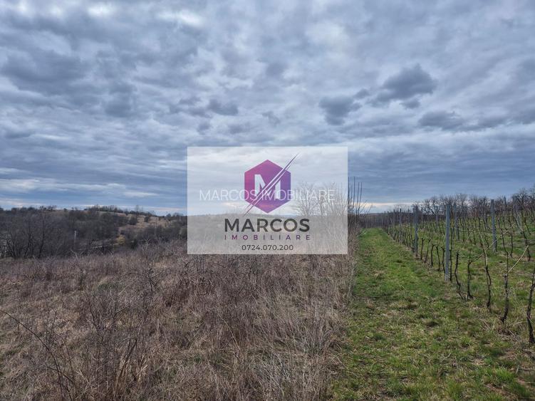 Vand 2 parcele de 5700 mp zona Iabalcea