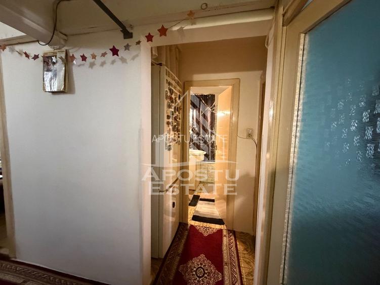 Apartament cu 3 camere de vanzare,decomandat , Zona Lipovei,Timisoara - 16
