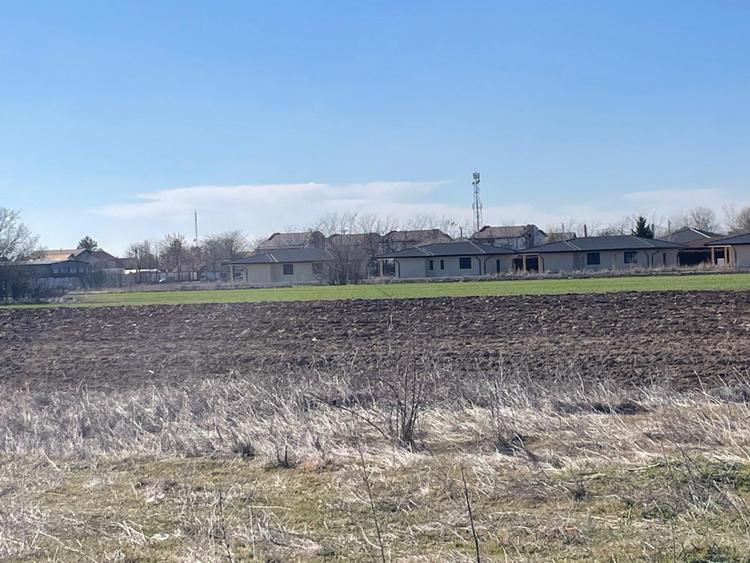 Vanzare | Teren Intravilan 10.759 mp | Str. Viitorului |
