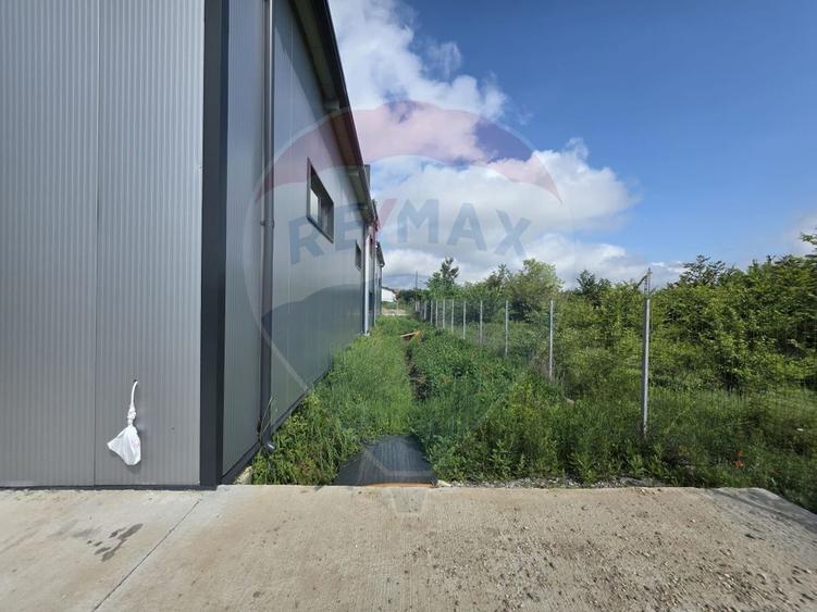 DE VANZARE Hala industriala 596mp | Teren 2500mp | Buftea