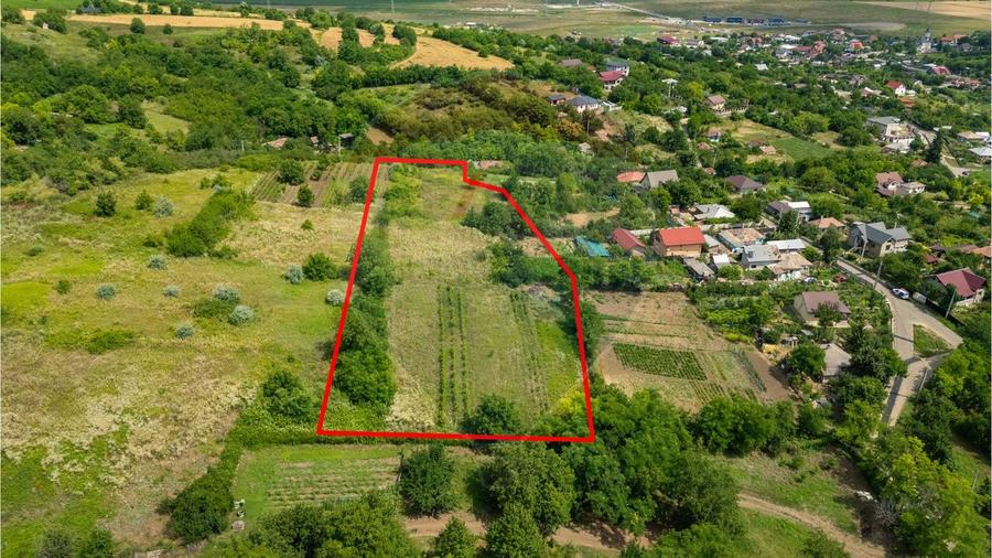 0% COMIOSION-  Teren Intravilan 8.841mp Uricani – Langa Centura