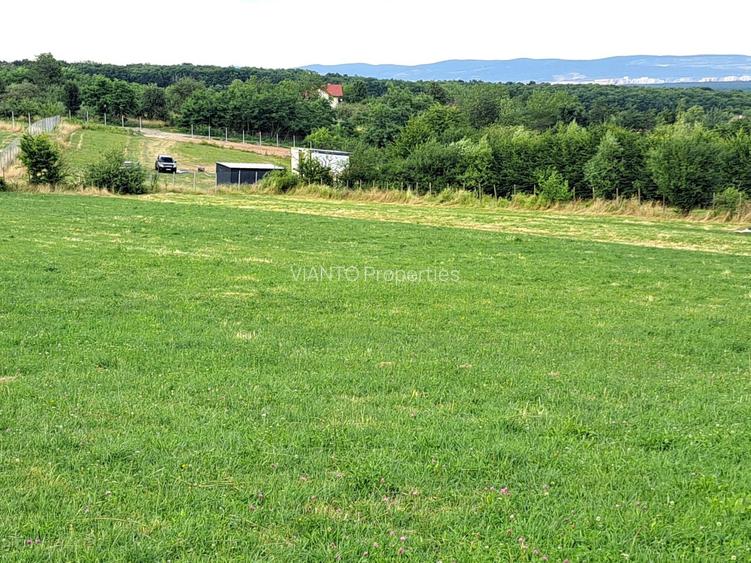 Oportunitate-Teren Extravilan 6200 mp cu vedere Panoramica-Tropinii Noi-Rasinari - 3
