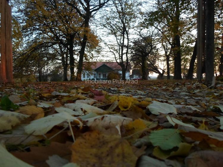 Conacul Zichy, Domeniu de 7,8 Ha -de vanzare - 2