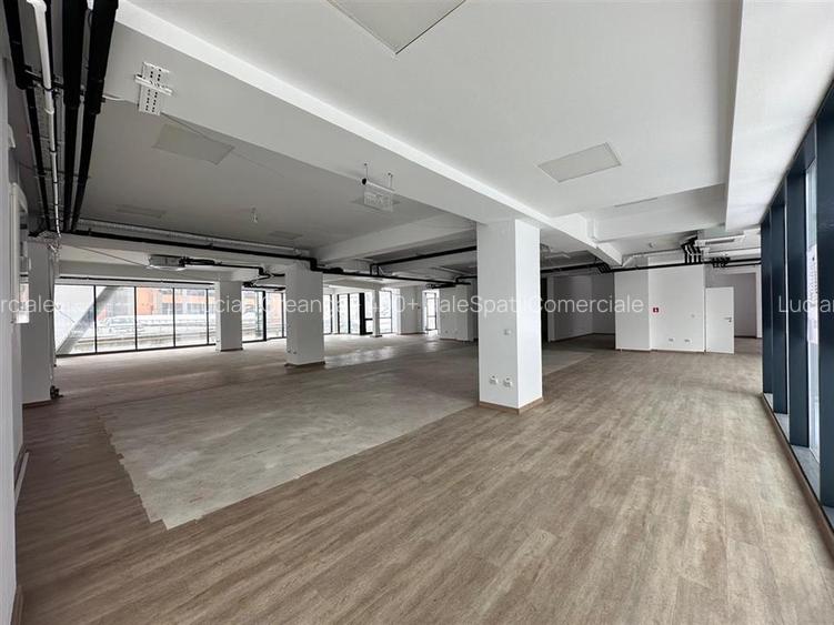 Spatiu comercial Tatarasi, langa Carrefour, 562mp - 13
