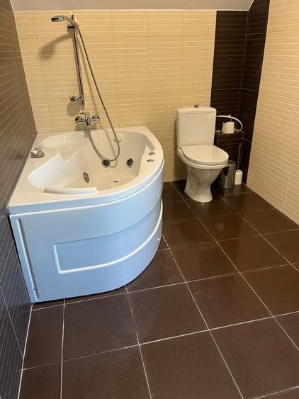 Casă P+M nouă în Sânmihaiu Român