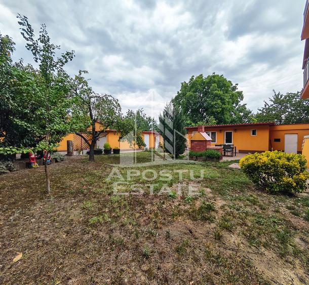 Casa individuala de vanzare cu 11 camere, an 2000, Lipovei, Timisoara