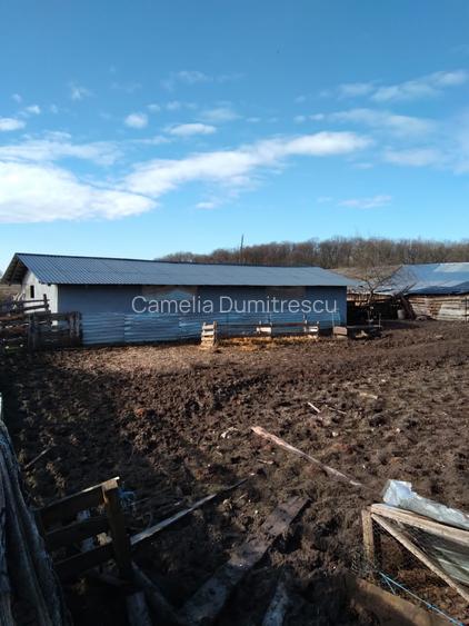 OPORTUNITATE! FERMA FUNCTIONALA, CASA RENOVATA SI TEREN 5HA - 11